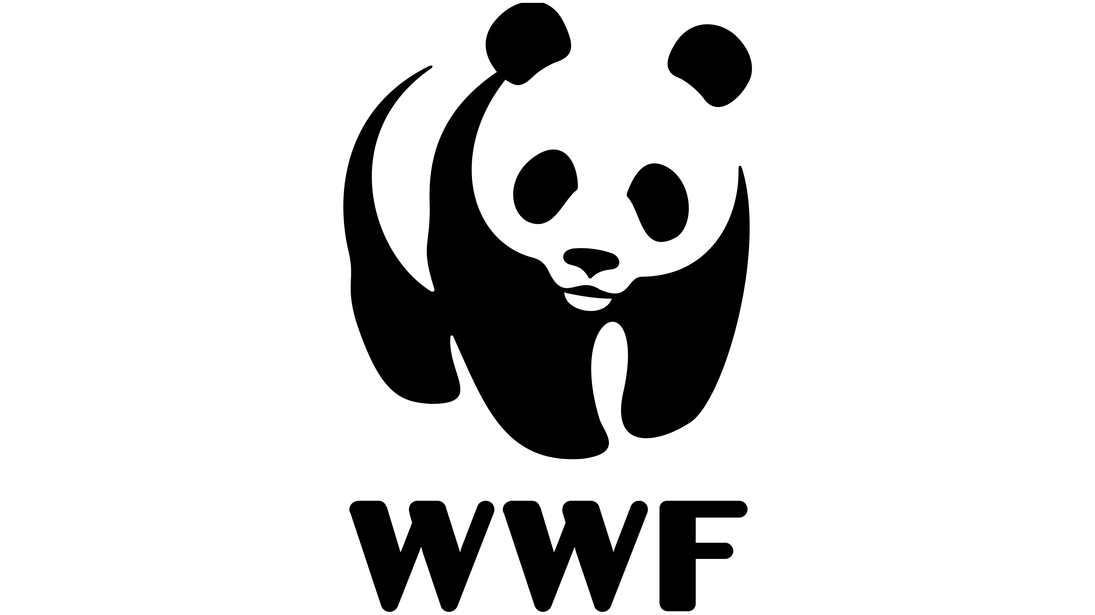 WORLD WILDLIFE FUND INC